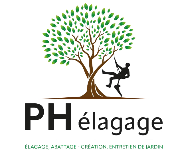 Partenaire 25